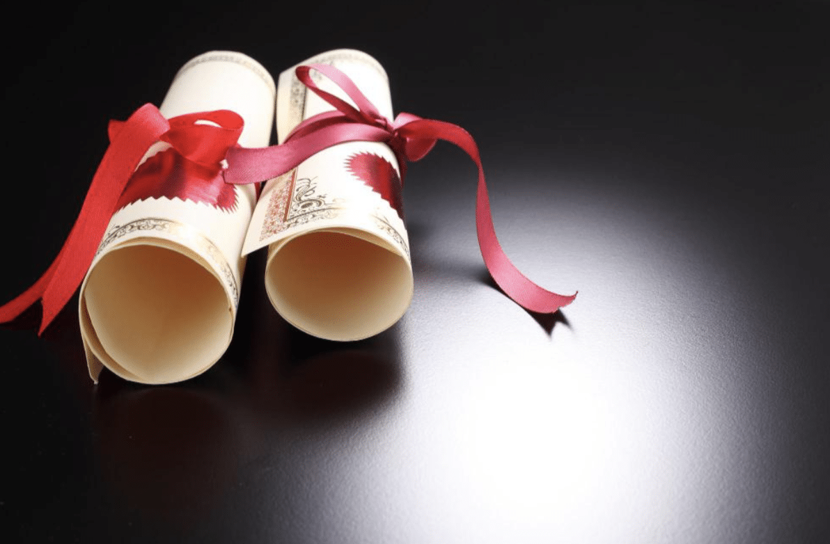 Why a Double Diploma? Future-Proofing Your Education with OVS
